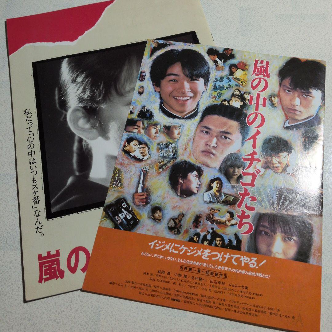 映画パンフ　嵐の中のイチゴたち　1989年　チラシつき