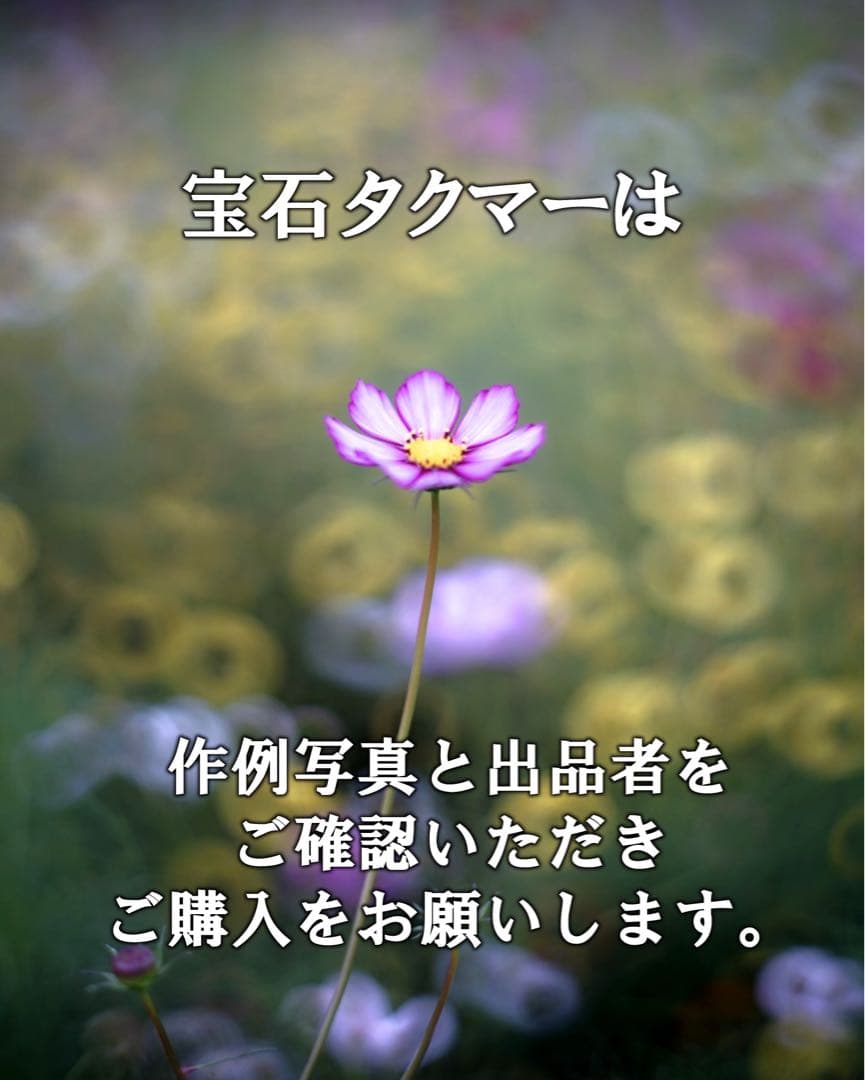 宝石レンズ_SMC_Takumar 55mm_f1.8_aw