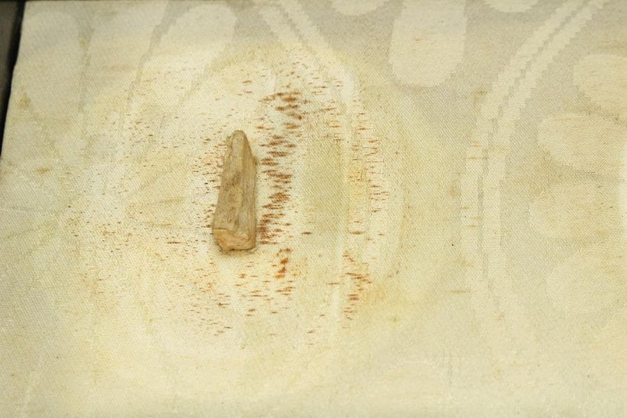 螺鈿 三つ葉葵 徳川紋 鍔 箱(K-LC769)