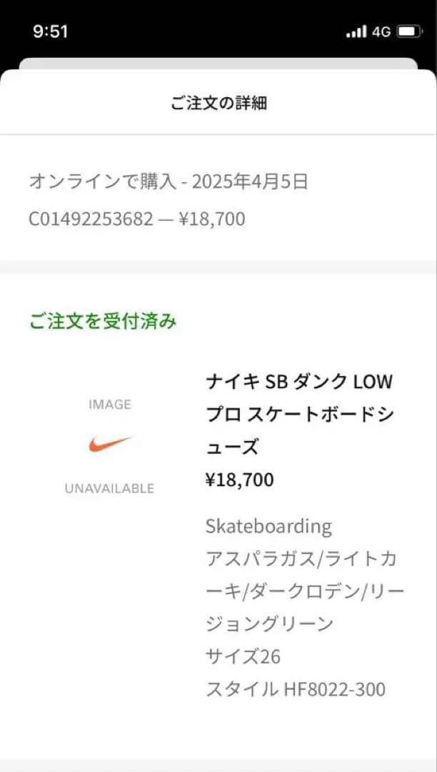 マリア　Nike SB Dunk Low Pro 堀米雄斗