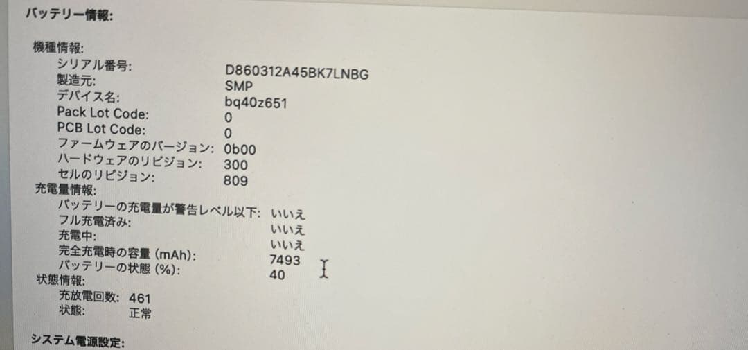 MacBookPro16,1 SSD1TB RAM64GB i9ほぼ限界スペック