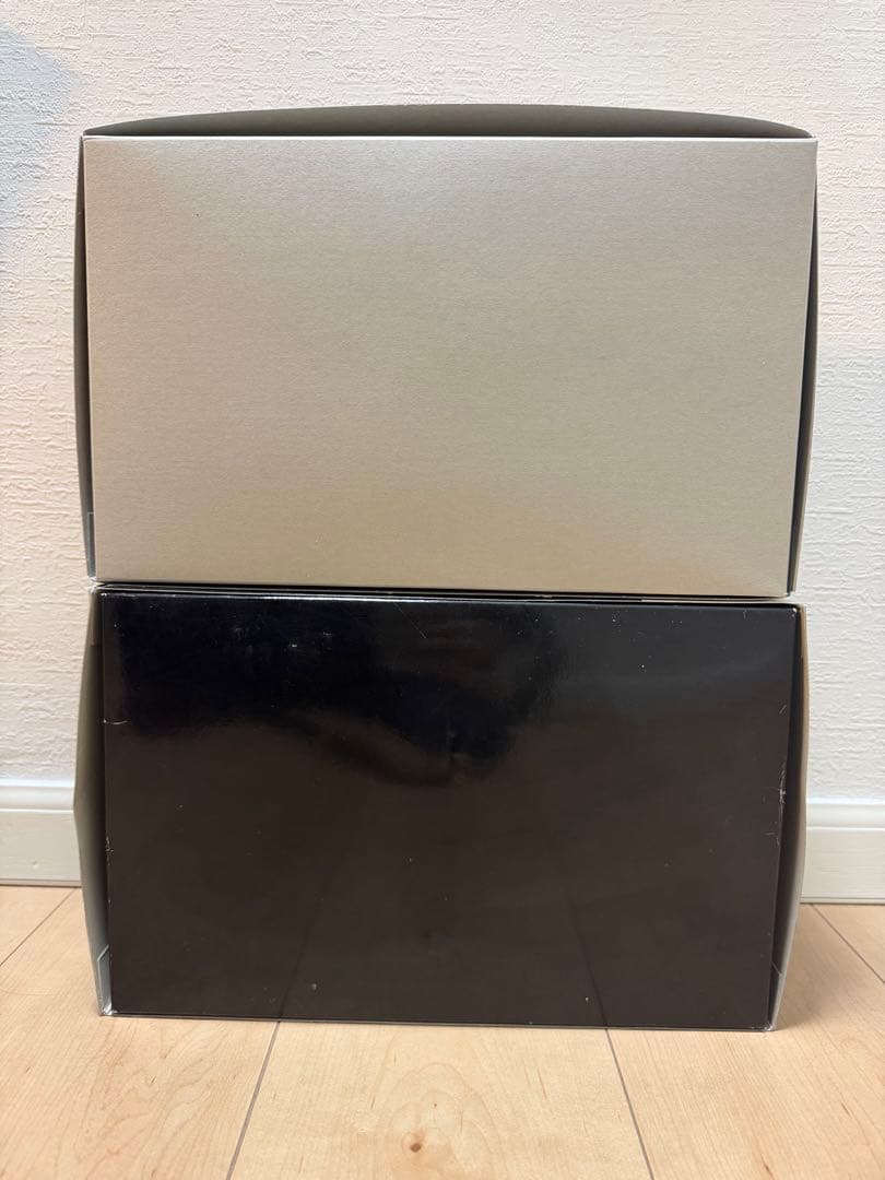 本日限定　RGガンプラ2体セット