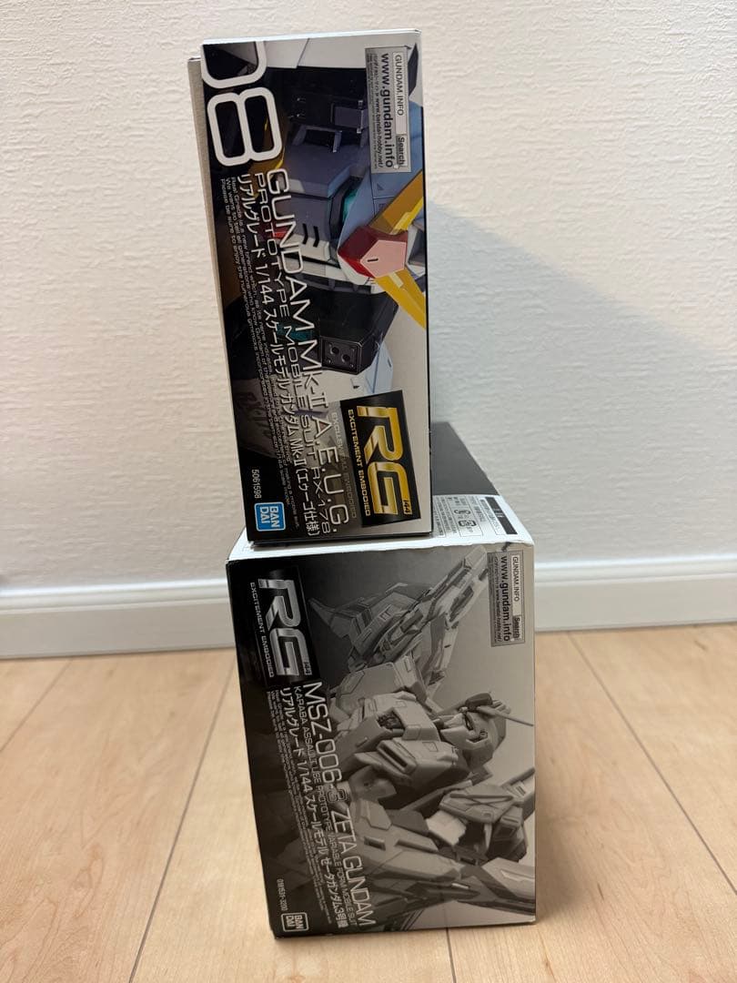 本日限定　RGガンプラ2体セット