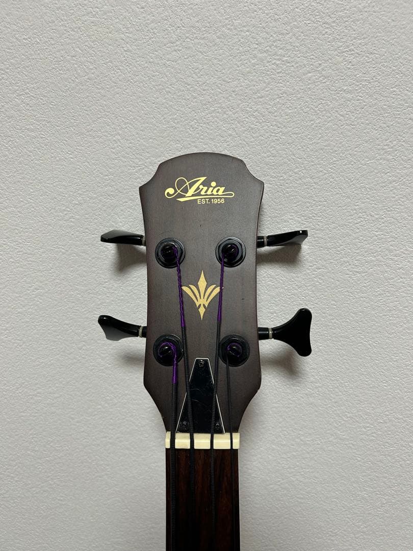 【美品】Aria FEB-FL エレアコベース　フレットレス