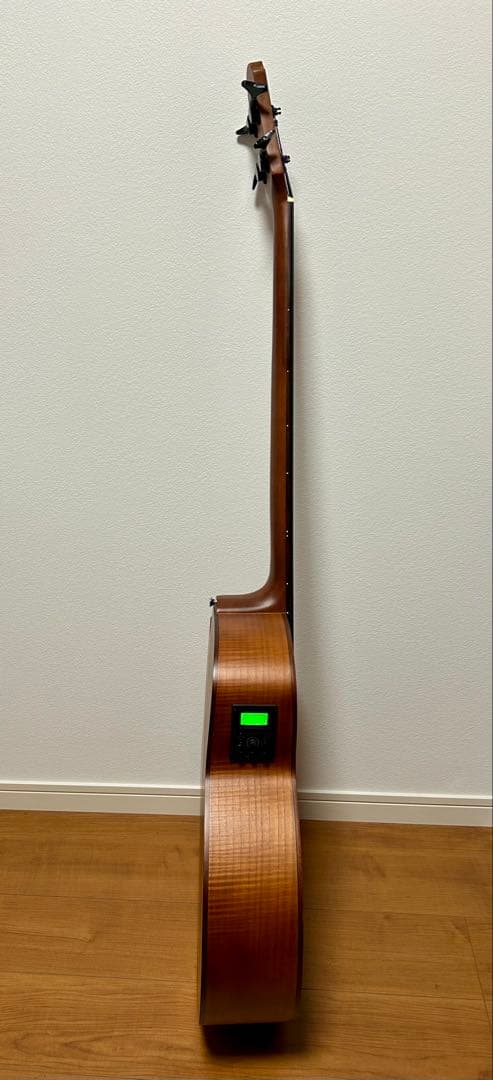 【美品】Aria FEB-FL エレアコベース　フレットレス