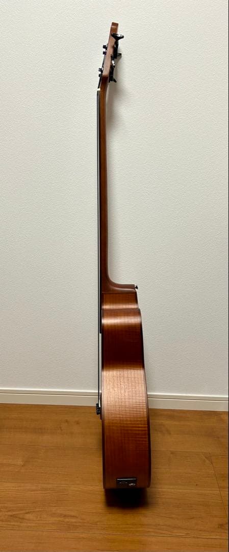 【美品】Aria FEB-FL エレアコベース　フレットレス