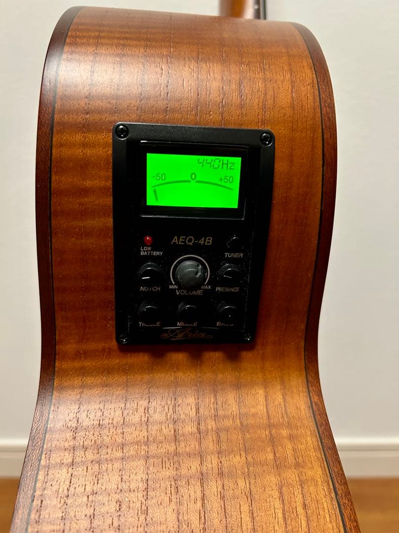 【美品】Aria FEB-FL エレアコベース　フレットレス