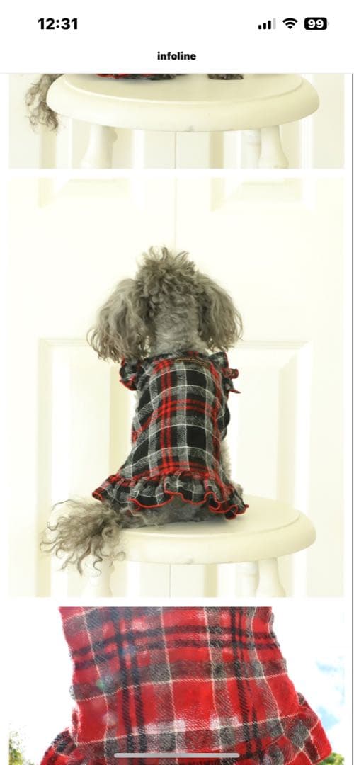 Atelier gg Winter Love  Mary  ブラック21size