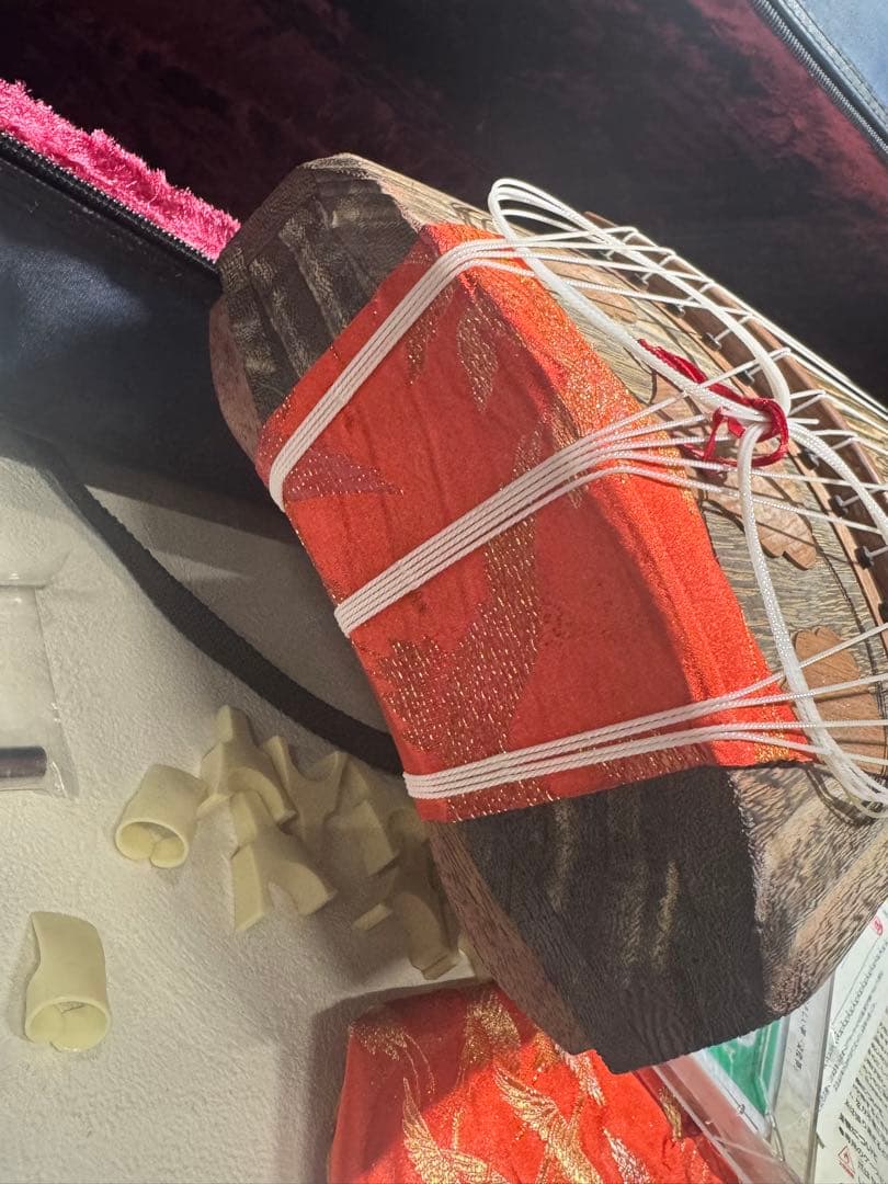 ゼンオン 文化箏 文化琴 13弦 楽器 和楽器 ソフトケース付