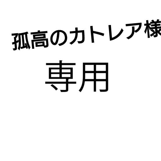 孤高のカトレア
