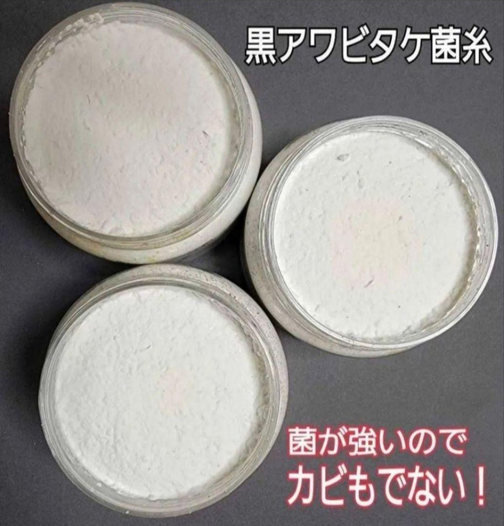 ニジイロクワガタに抜群！黒アワビタケ菌糸瓶【8本】トレハロース、キトサン配合！