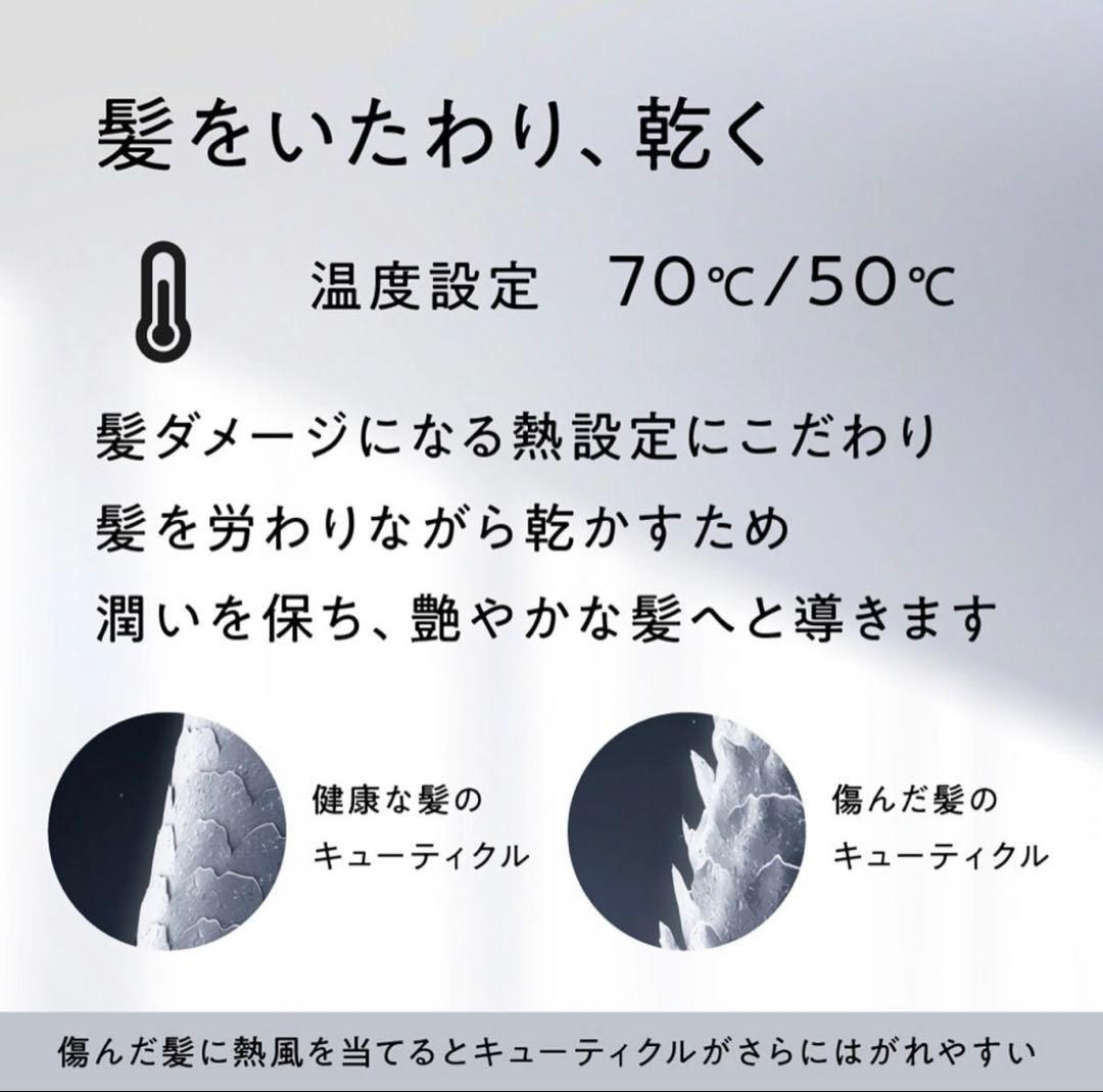 アイビル プロドライヤー750