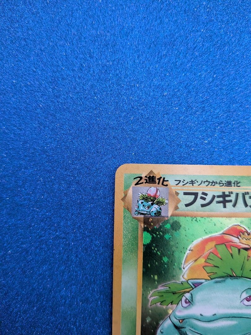 フシギバナ 旧裏