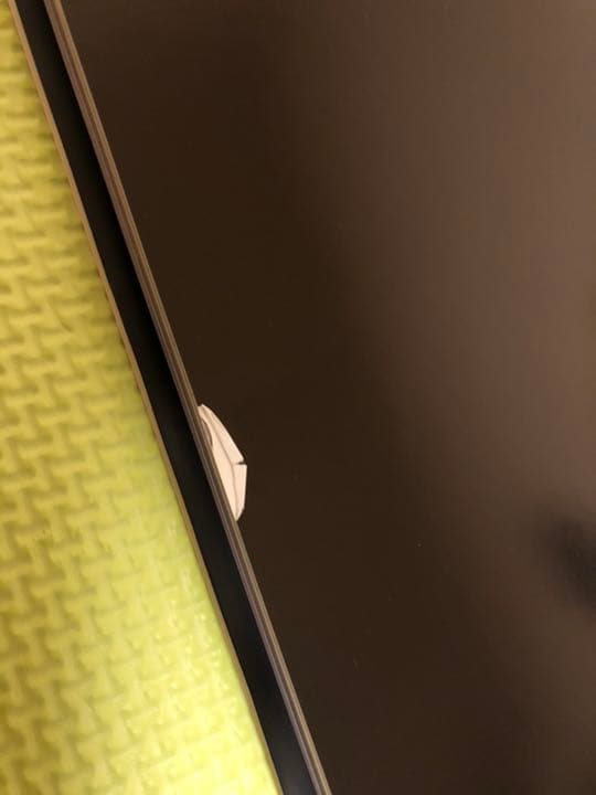 雅　MIYAVI miyavi 写真集　羽化上下巻セット