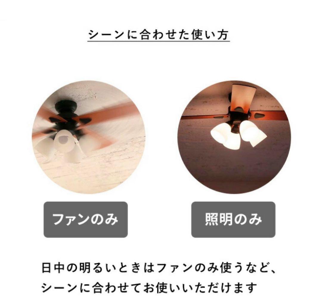 plus more シーリングファン Windouble 4灯 BIG-101