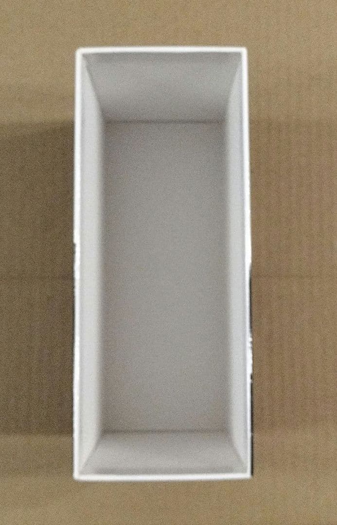 BUCK-TICK B-T PICTURE PRODUCT DVD 特典完備