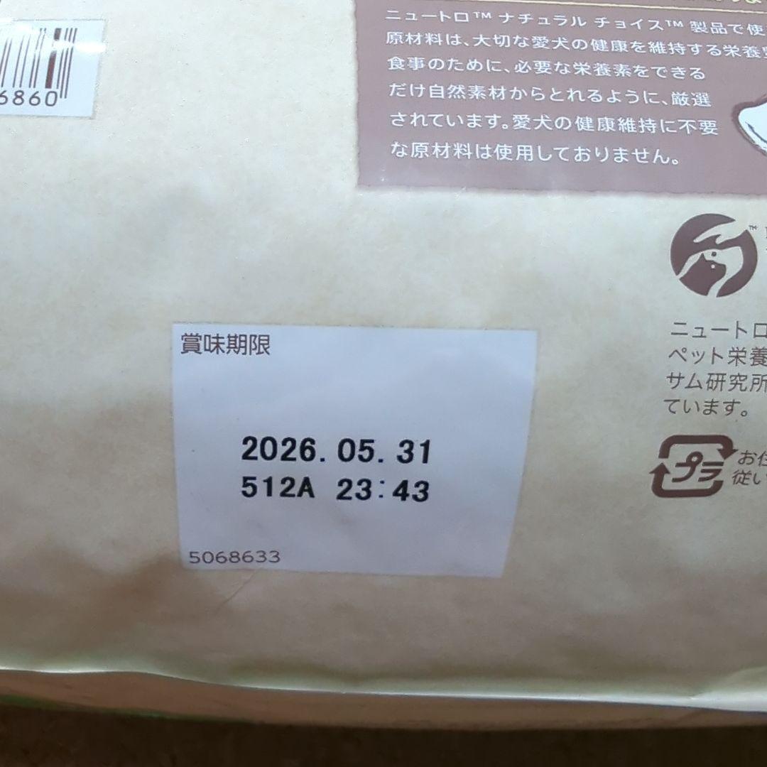 Nutro ドライフード 4kg ラム＆玄米 2つ