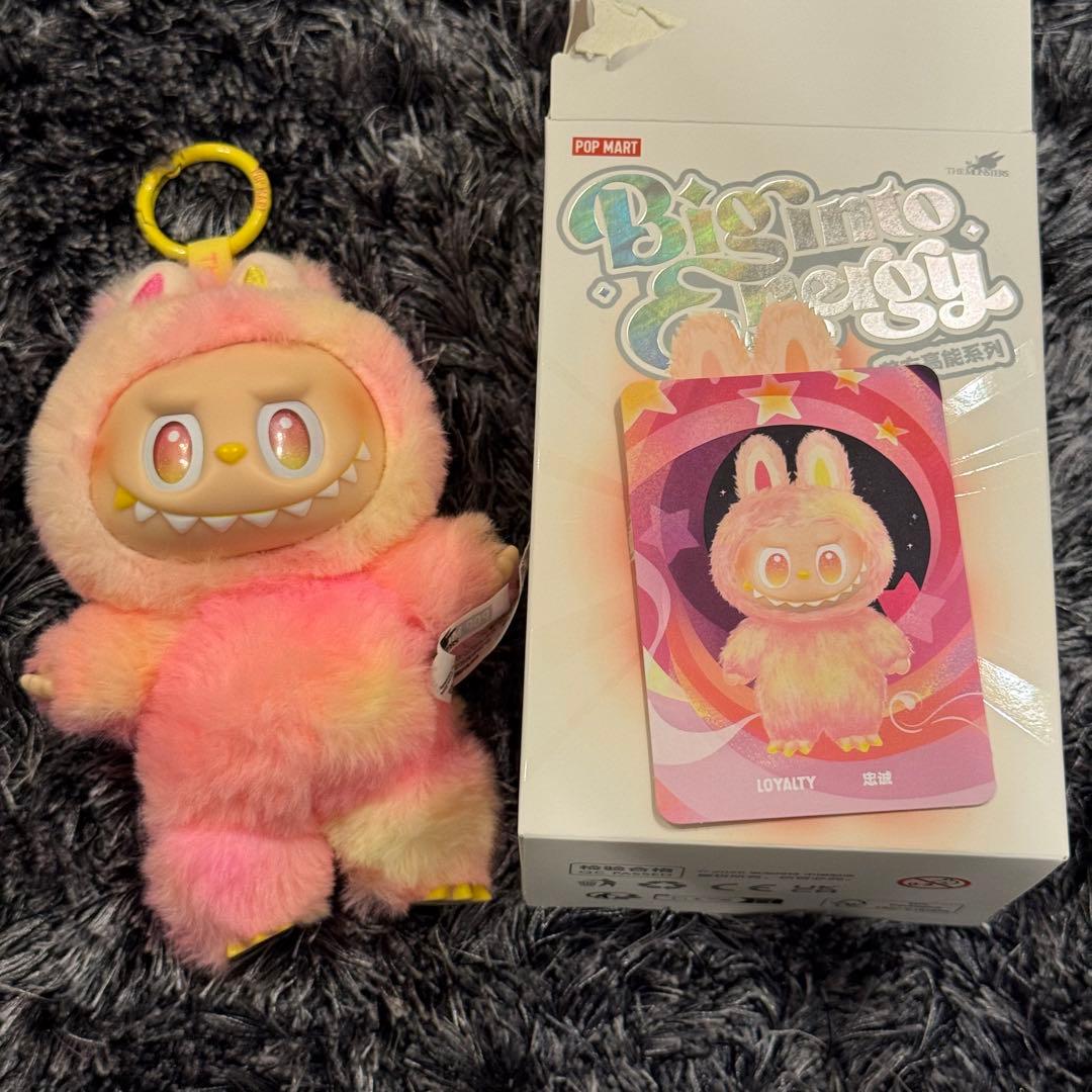 ビックイントゥエナジー 全5点セット