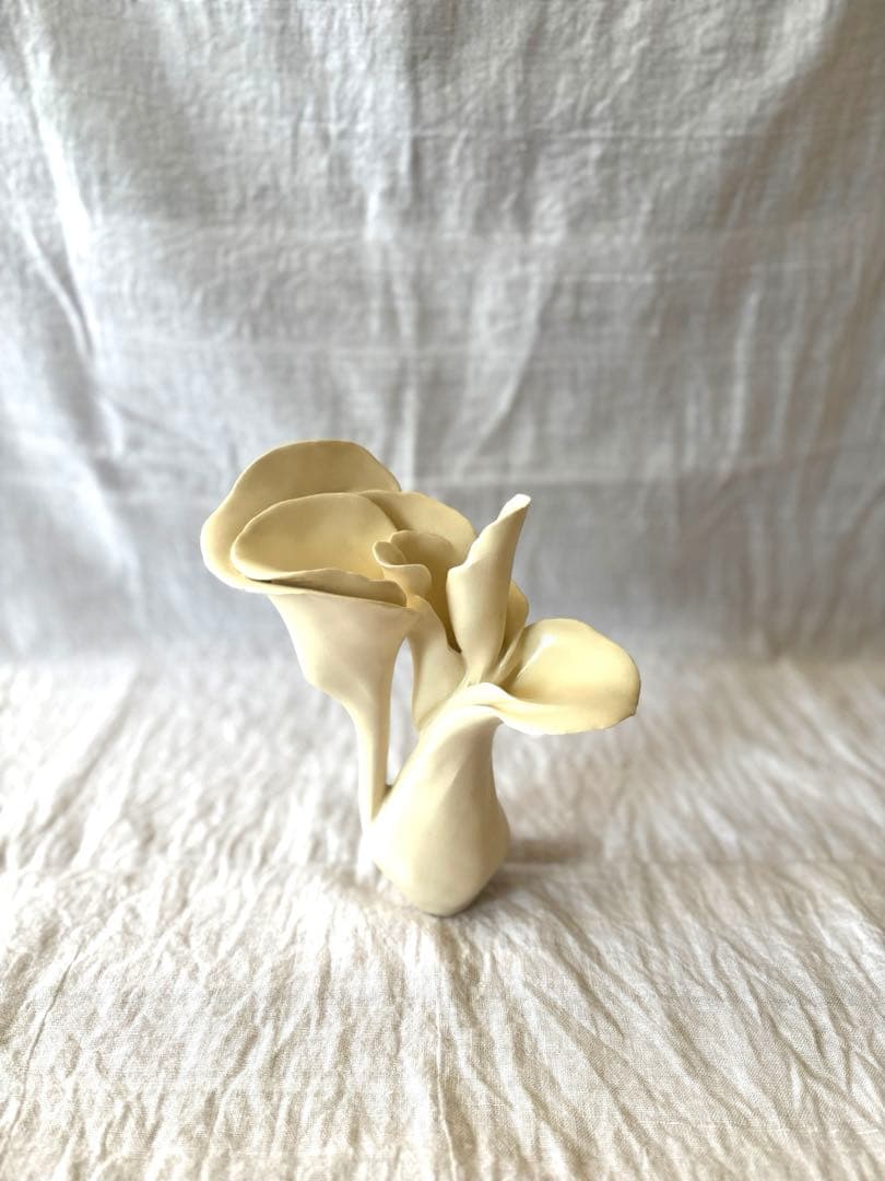 藤笠砂都子　Blooming