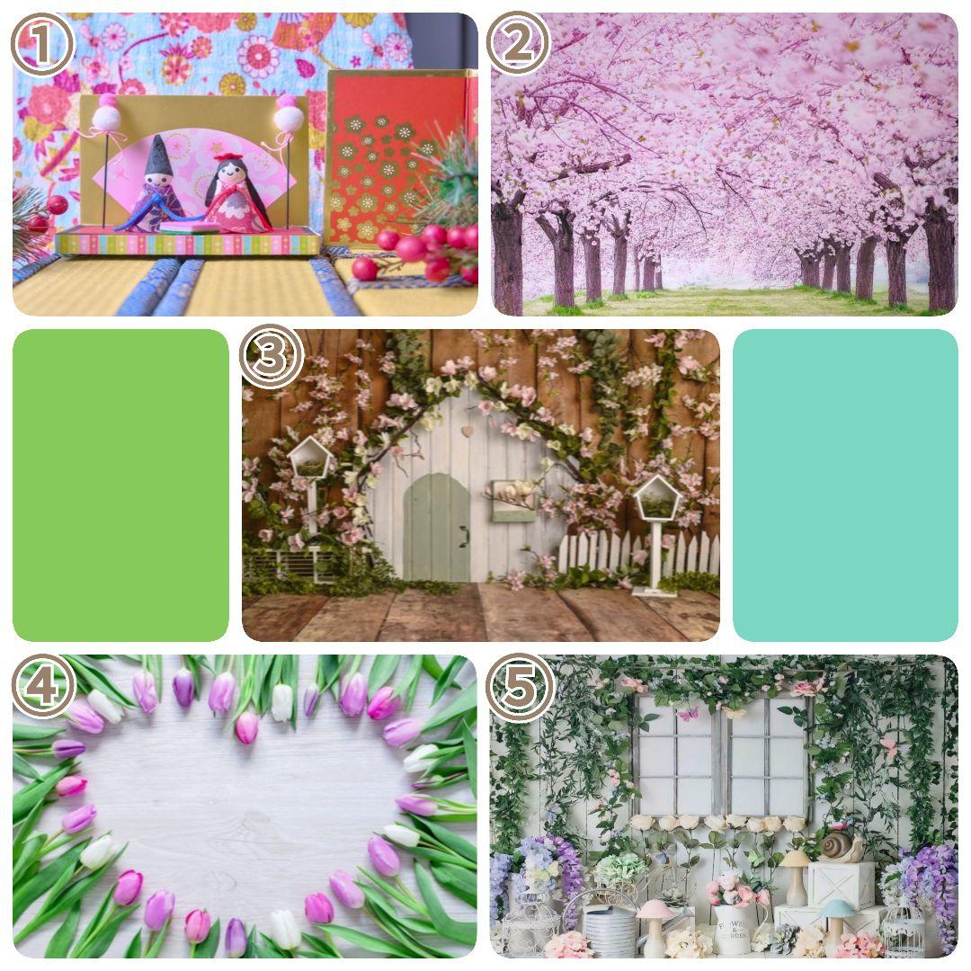 撮影用背景布、ペット用フェルトトリミングチョーカー　干支へび　アナと雪の女王