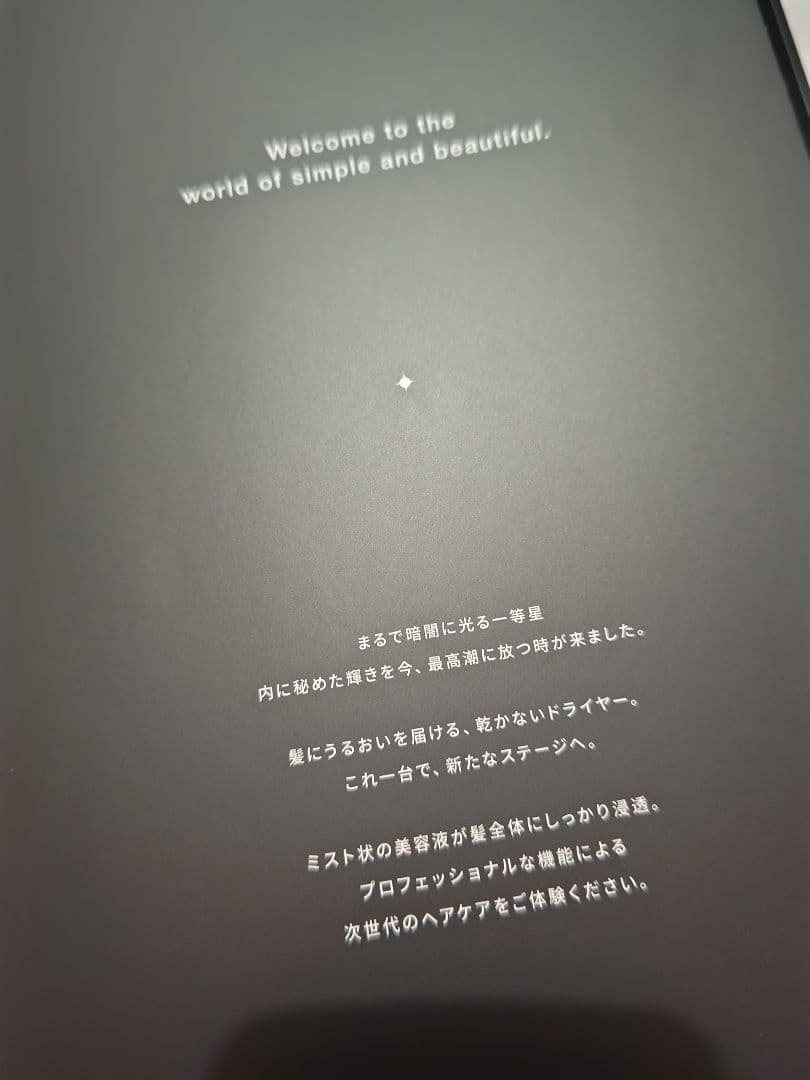 Brighte　限定版 ミッキーマウス ヘアドライヤー　ディズニー