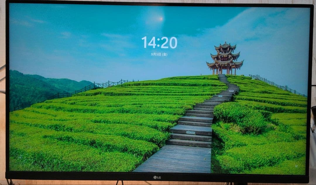 LG31.5インチ4Kモニタ　32UN550