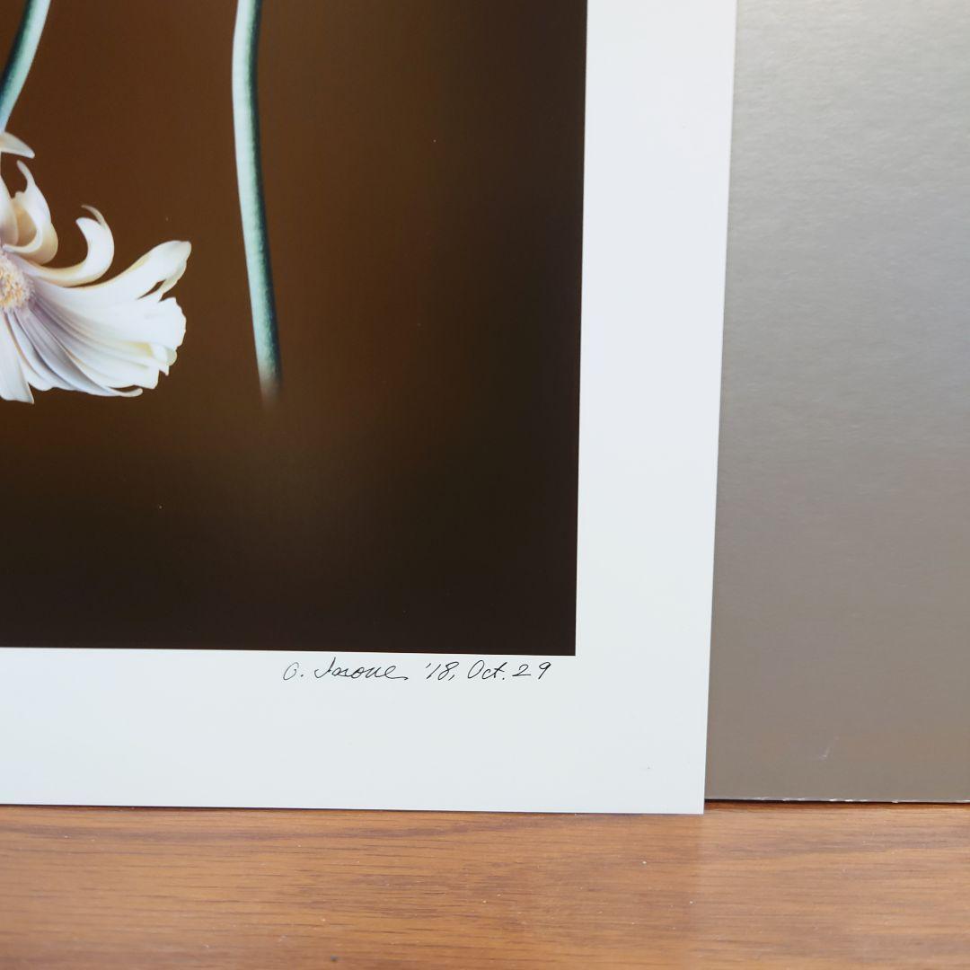 井上治（Osamu Inoue）4518＋4519　静物　フォトアート　作品