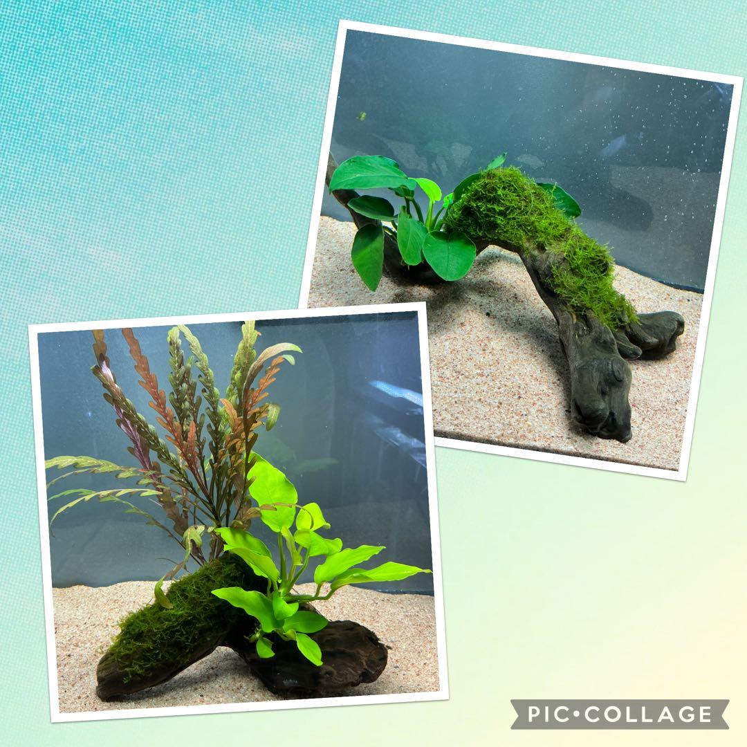 is.ikeda.0001様 リクエスト 2点 まとめ商品