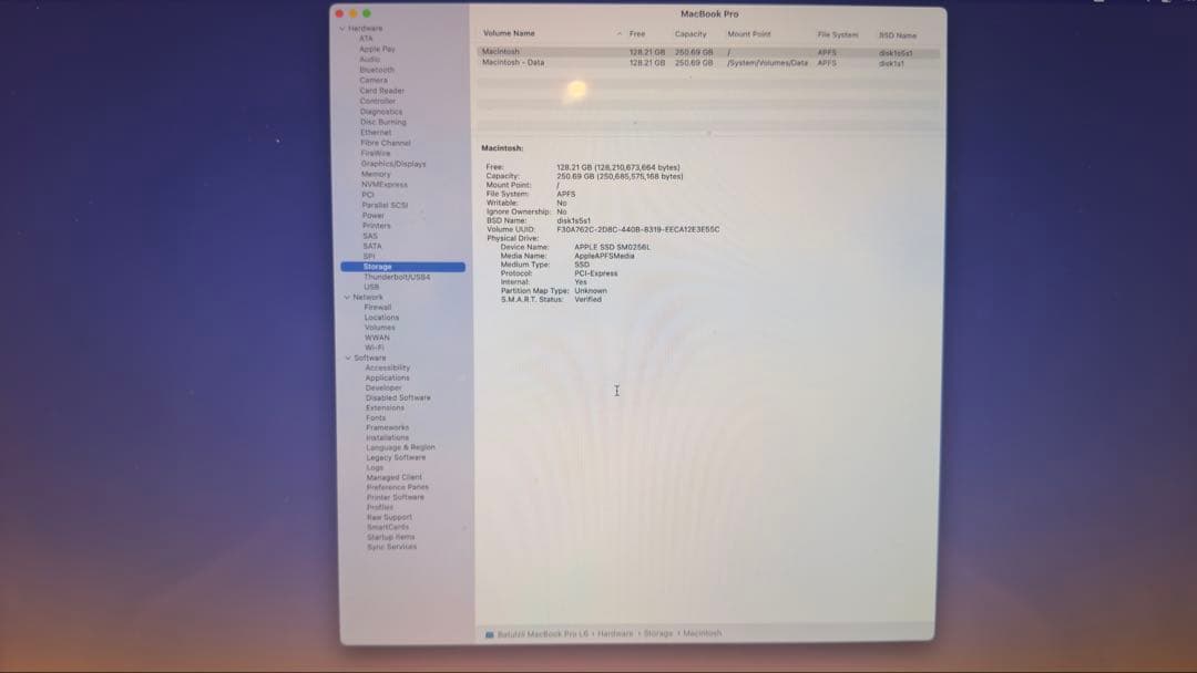 MacBook本体 A1706 15 inch 16GB/250GB MacBook Pro