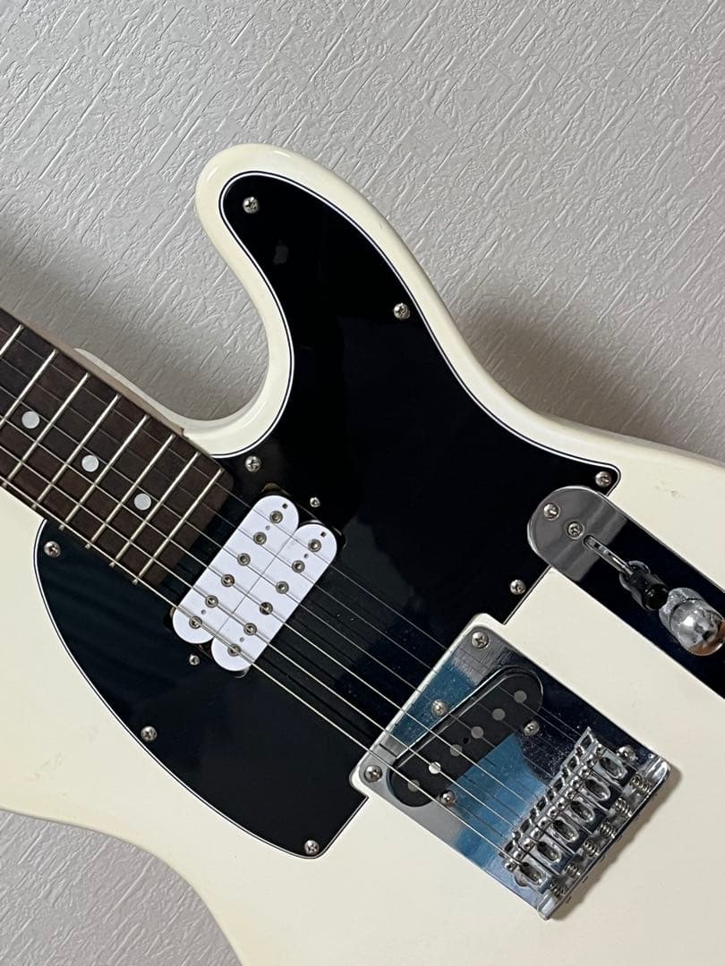 【ともさま専用】Telecaster Custom テレキャスター