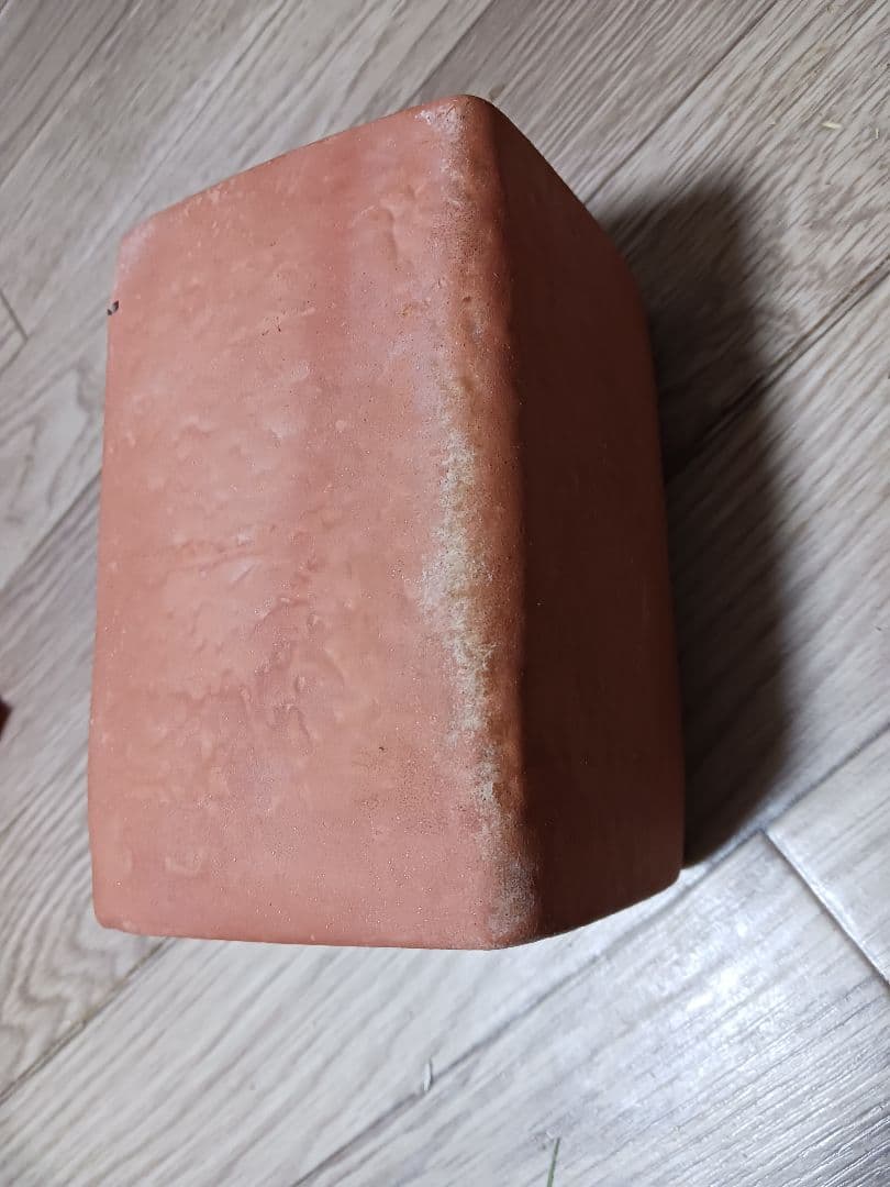 シマリス 飼育セット