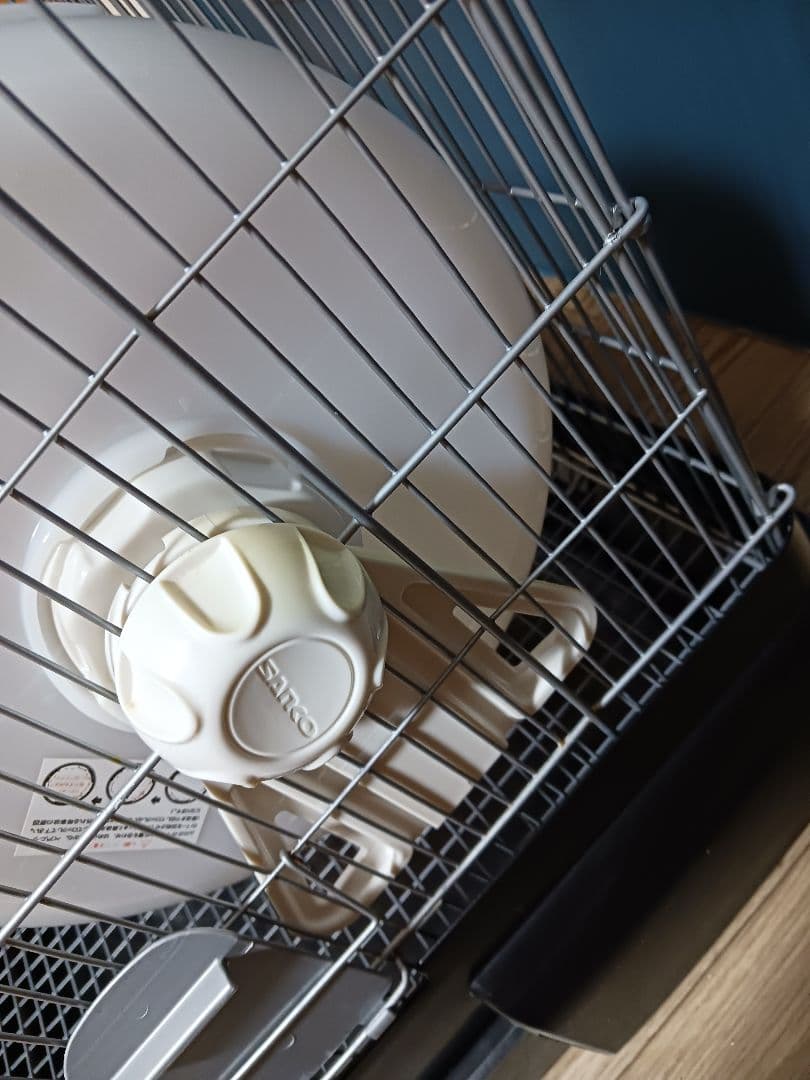 シマリス 飼育セット