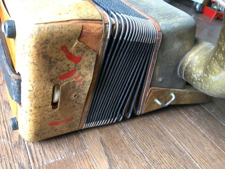 トンボ　　ACONY