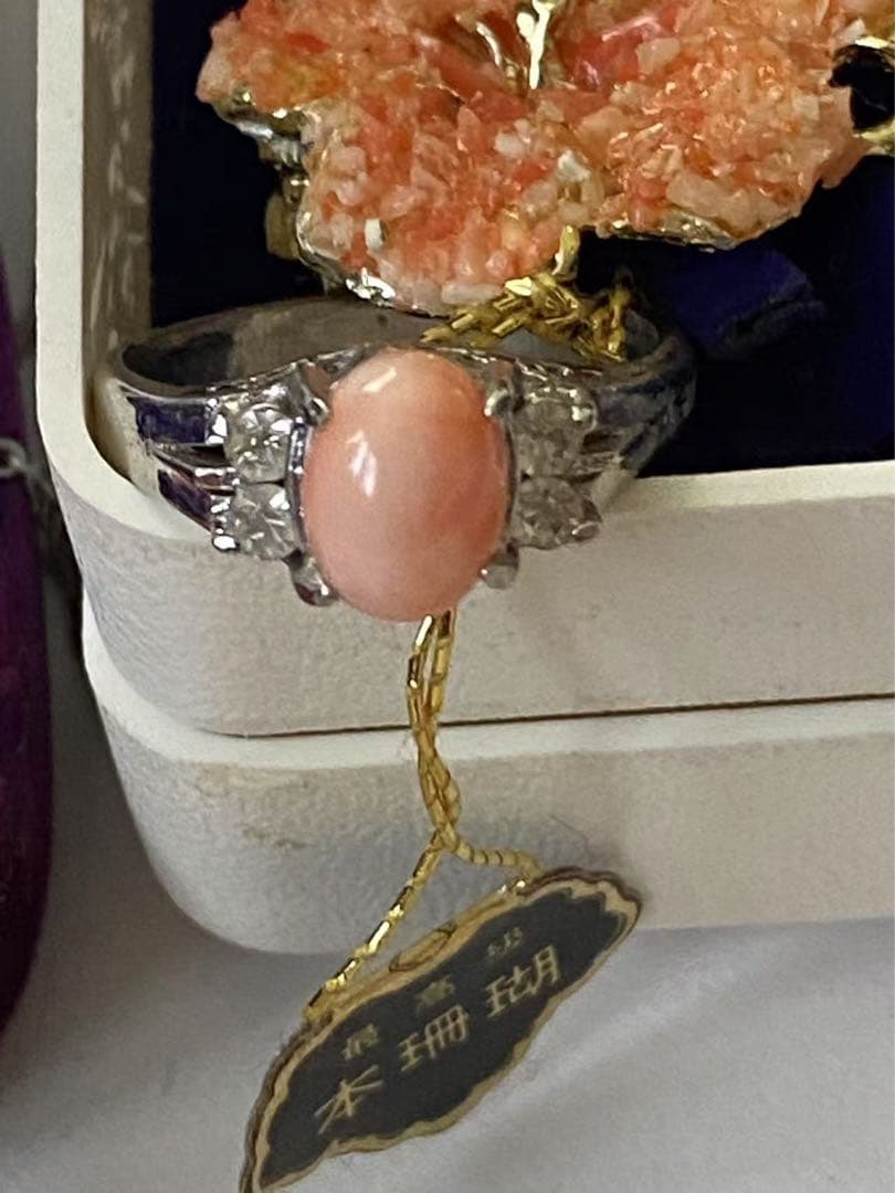 珊瑚、珊瑚風、アクセサリープロチまとめ（205）