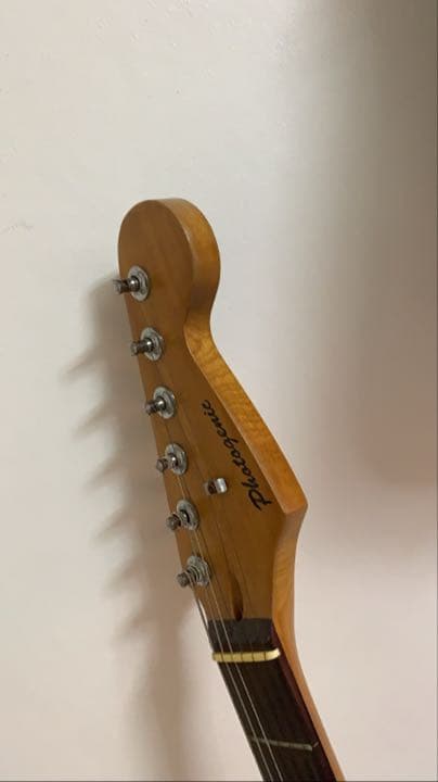 エレキギター photogenic