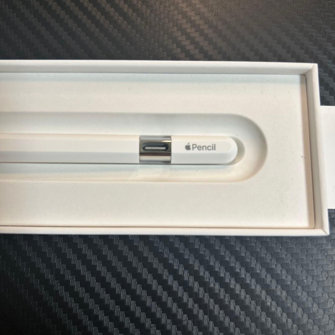 iPadアクセサリー Apple Pencil (USB-C)