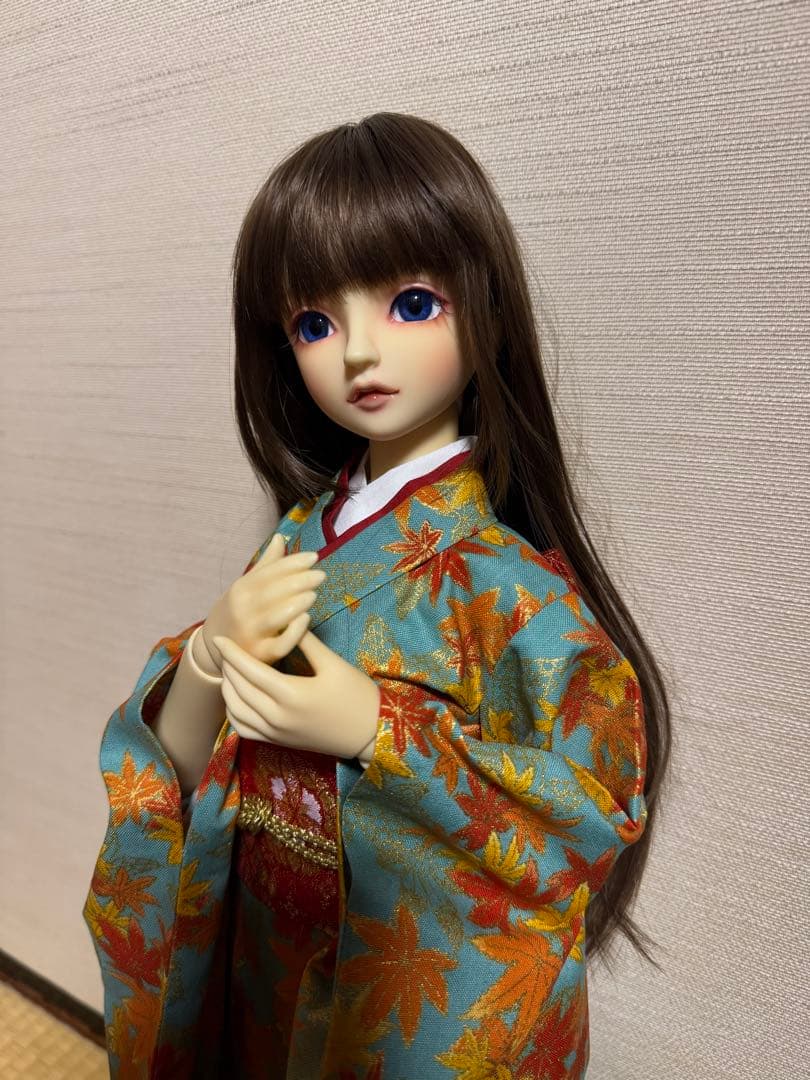 羅紗SD.DD他対応　紅葉柄振袖セット