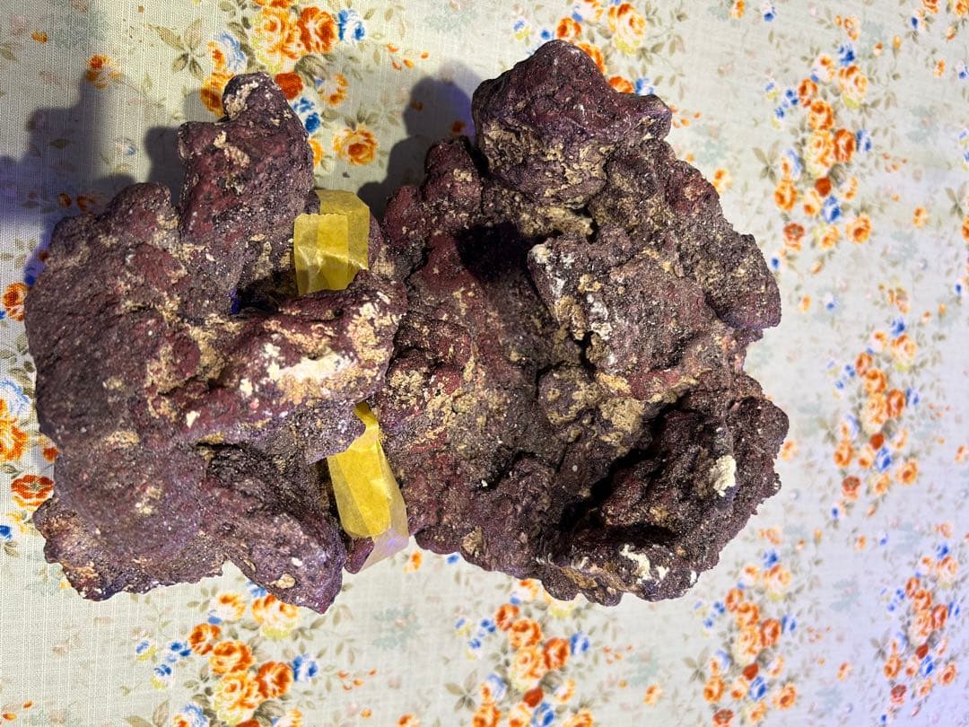 ライブロック新品未使用　休眠バクテリア付き　ドーム型　横幅 25cm、4kg