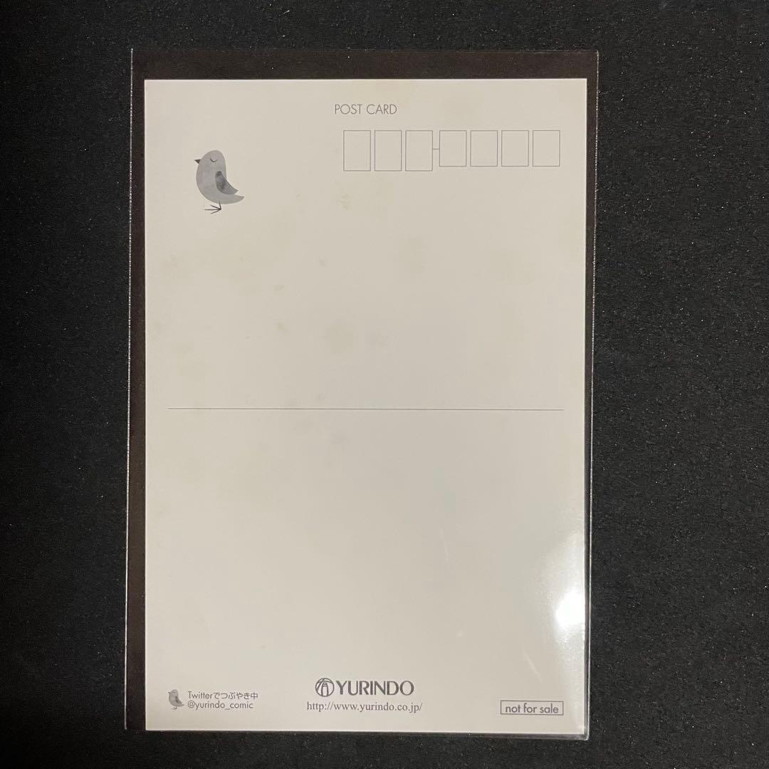 聖闘士星矢 冥王神話外伝［11 巻］有隣堂特典 ポストカード 非売品 手代木史織