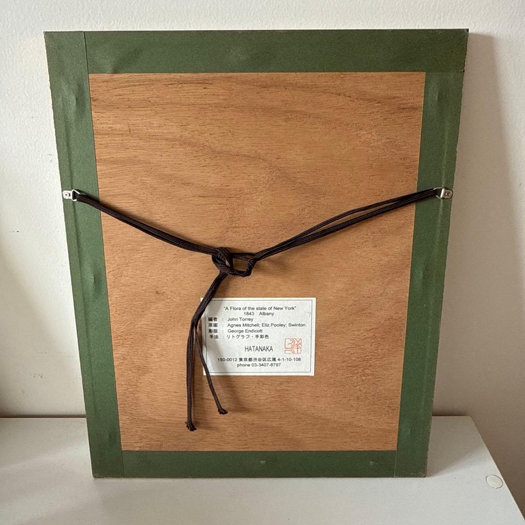 ボタニカルアート額縁絵　アンティーク