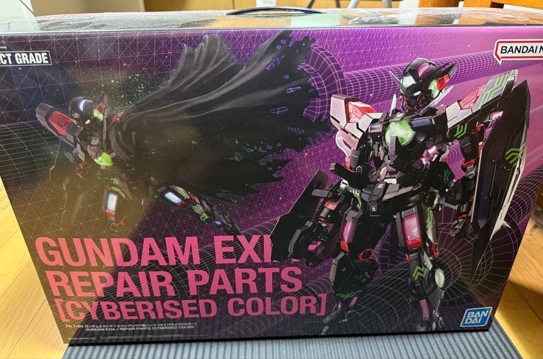 ガンダムエクシアPG 中国限定　黒いエクシア