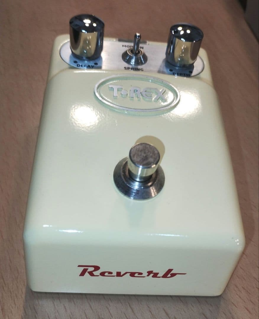 T-REXリバーブ　DEADENDのYOUさん所有機