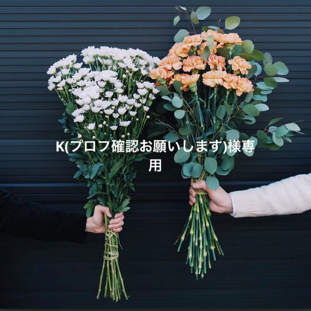 K(プロフ確認お願いします)