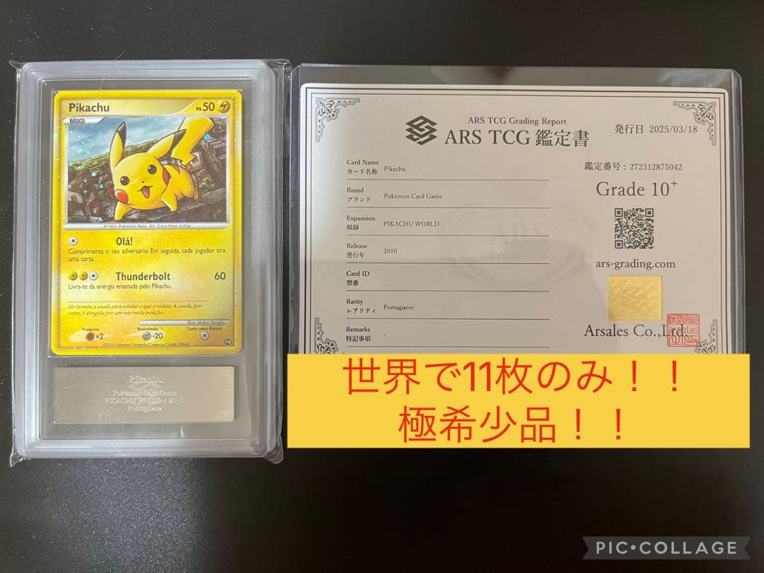 【ARS10+】ピカチュウ pikachu world ポルトガル