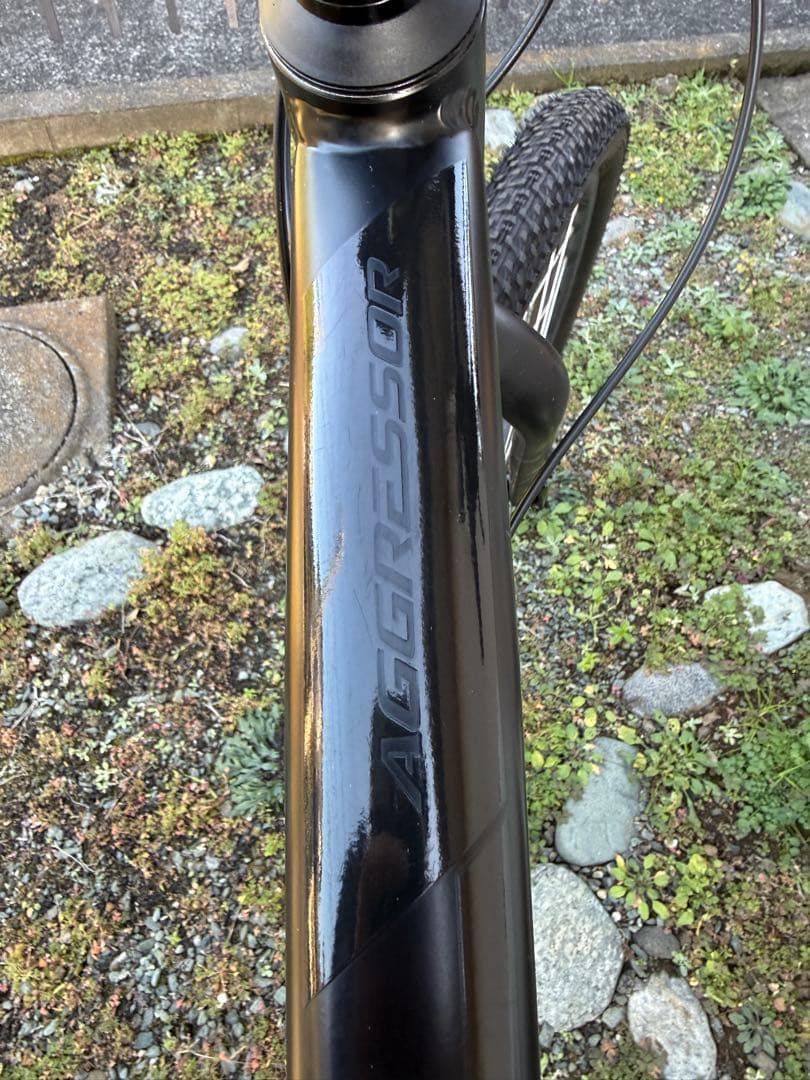 【あんさま専用】GT AGGRESSOR SPORT RIGID Lサイズ