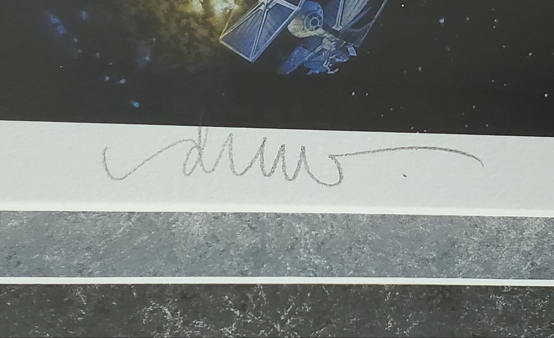 追悼【ドゥルー・ストゥルーザン】直筆サイン入『スター・ウォーズ☆トリロジーSP』