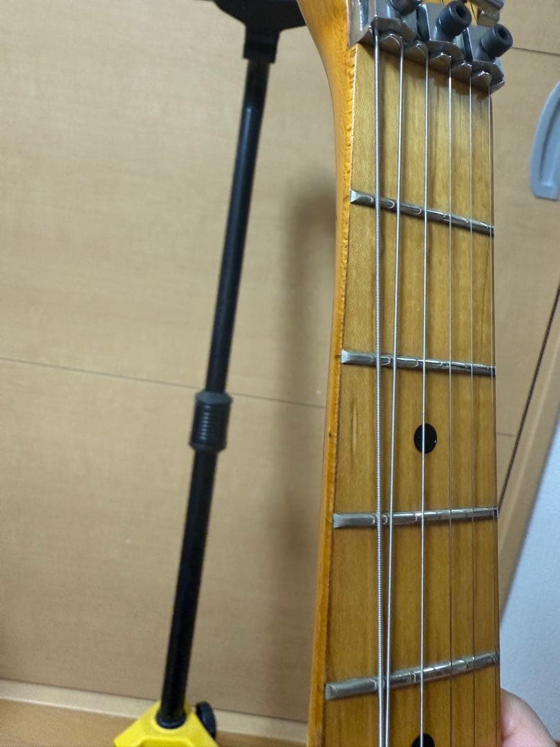 ESP/ZEP-Ⅱ/ランダムスター/最初期/ドイツ製フロイドローズ/ジャパビン