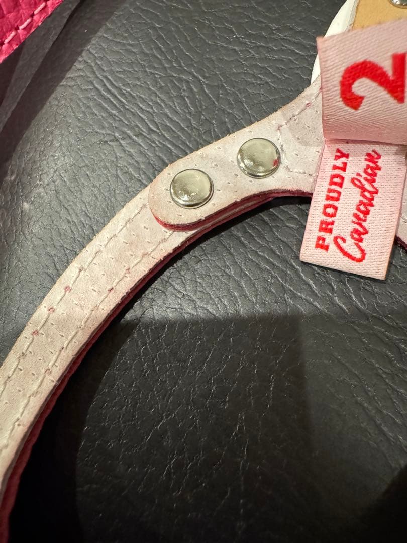 BB バディーベルト2 ピンク ハーネスリードセット