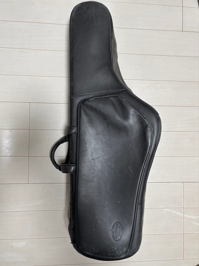 【本革】リユニオンブルーステナーサックス用ケース