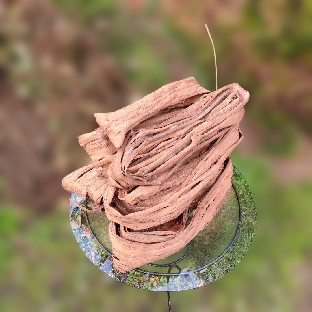 さーちゃん 青森岩木山産 山葡萄 皮 樹皮 約2kg+B品3kg